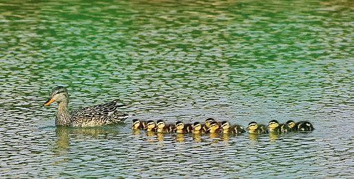 网易新作《Cygnus Enterprises》登陆Steam抢先体验